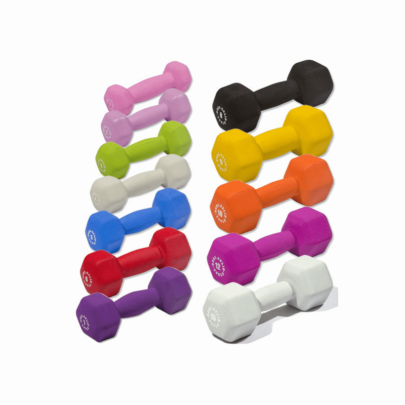 Body-Solid GDR500-NEOPACK Dumbbell Package