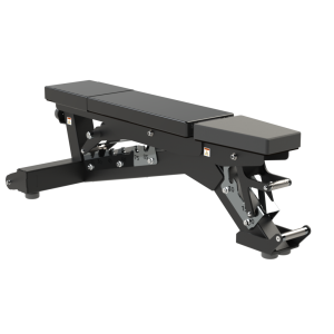 Defiant Strength Multi-Angle Adjustable Bench