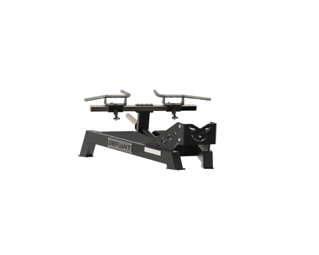 Defiant Strength T-Bar Platform Row