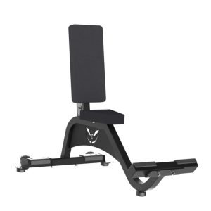 Defiant Strength Seated Utility Bench